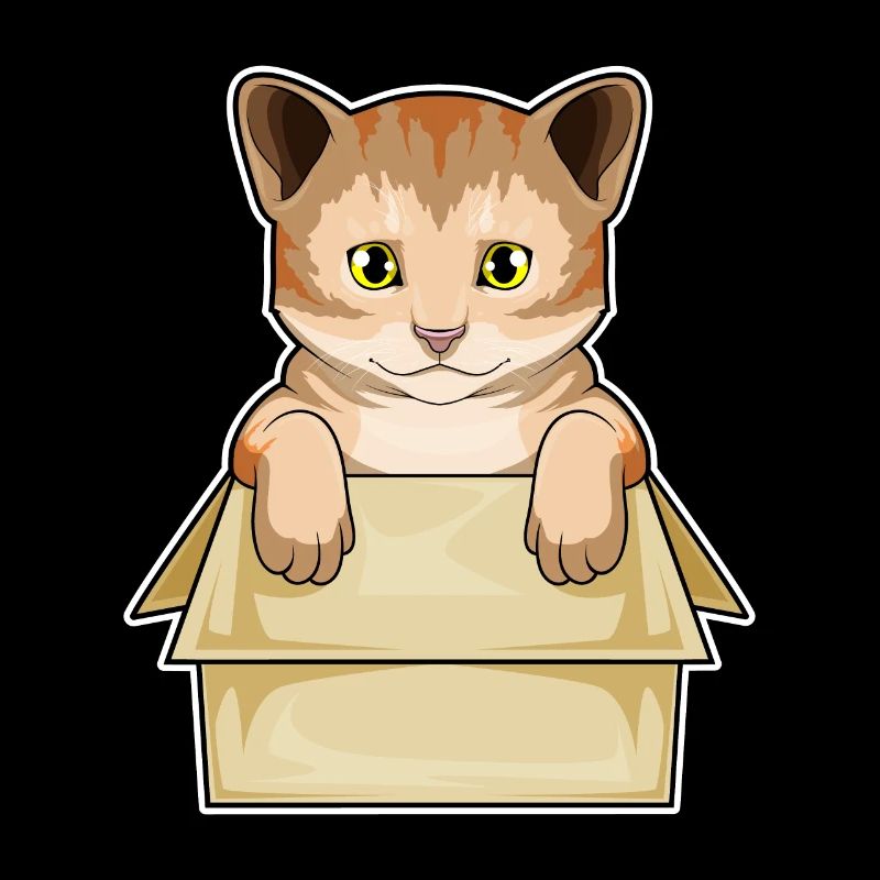 Cat Box