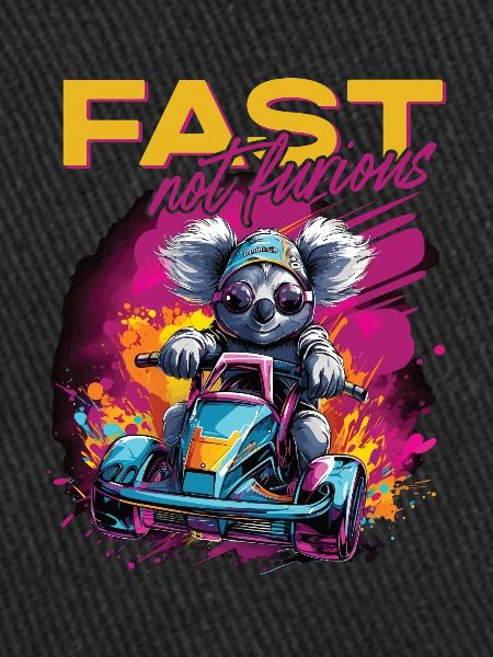 Fast Not Furious Koala Bear