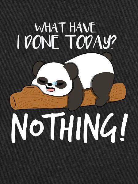 Do nothing panda sleep