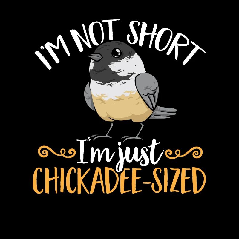 Meise Vogel Chickadee Vogelbeobachtung