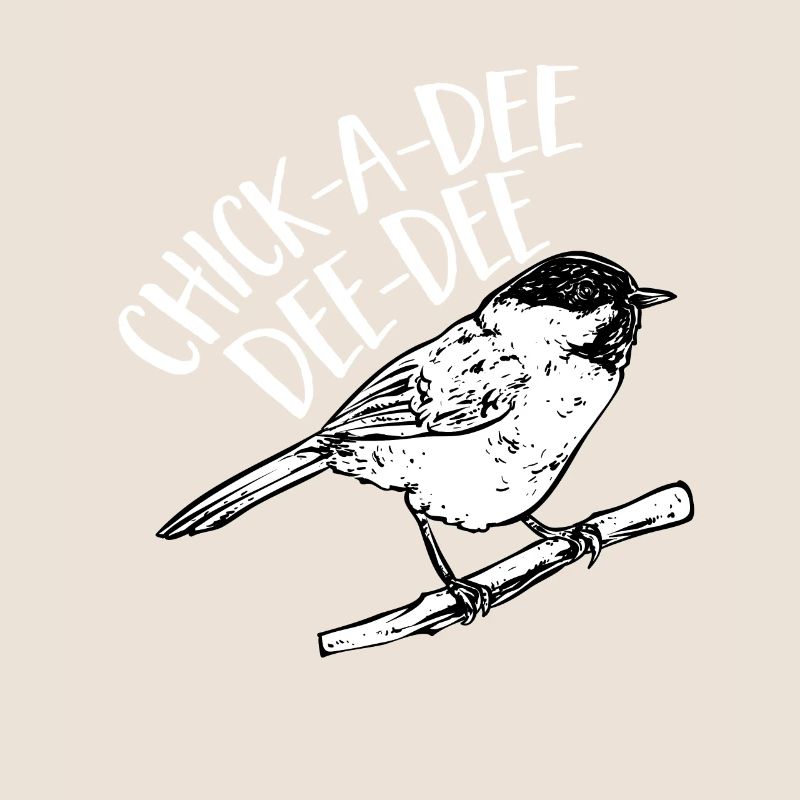 Bird Chickadee Bird Watching