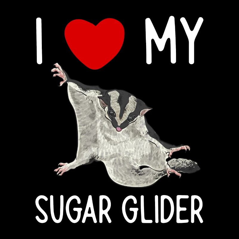 Kurzkopfgleitbeutler Sugar Glider