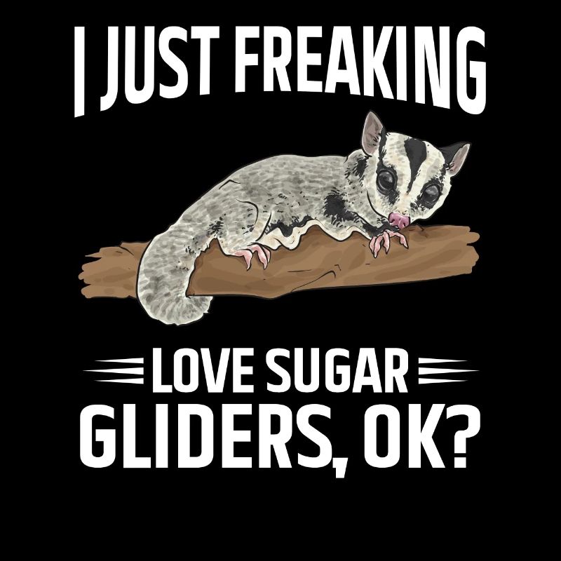 Kurzkopfgleitbeutler Sugar Glider