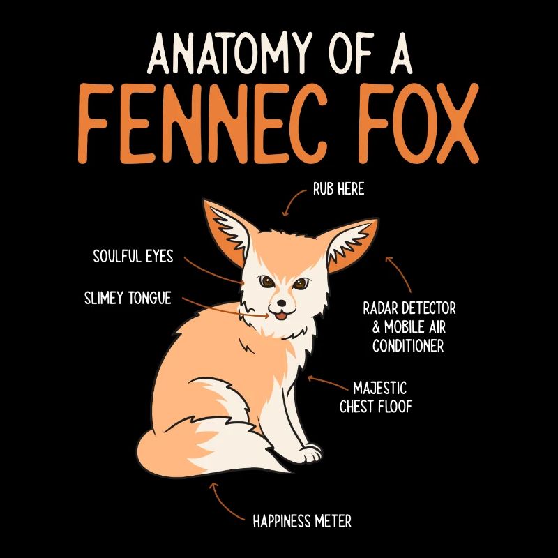 Fennek Fox Fennec Fox Desert Fox