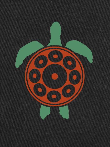 Play Handpan Turtle Handpan