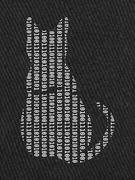 Informaticien Cat Admin Programmeur