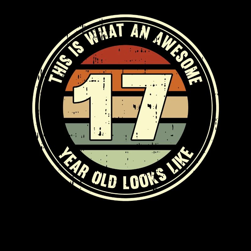 17. Geburtstag so sieht man mit 17 Retro Geschenk