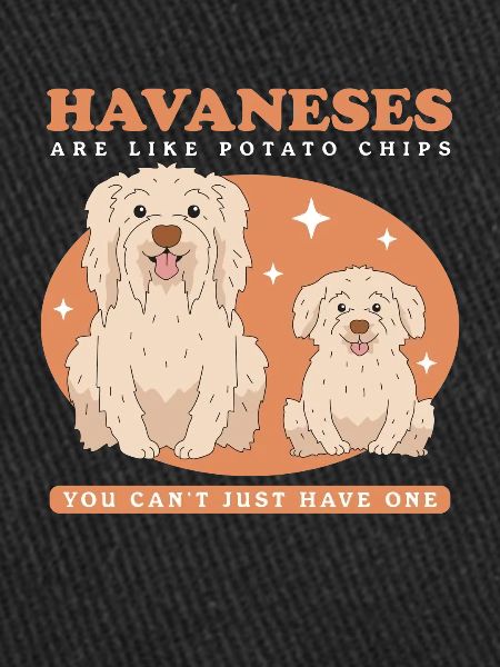 Havaneser Hunde Hundebesitzer Geschenk
