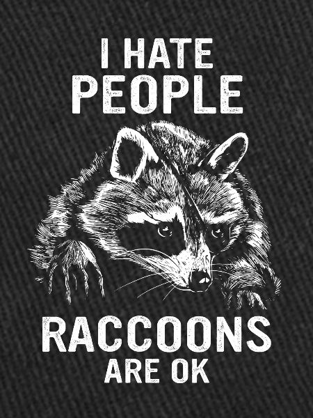 Raton laveur