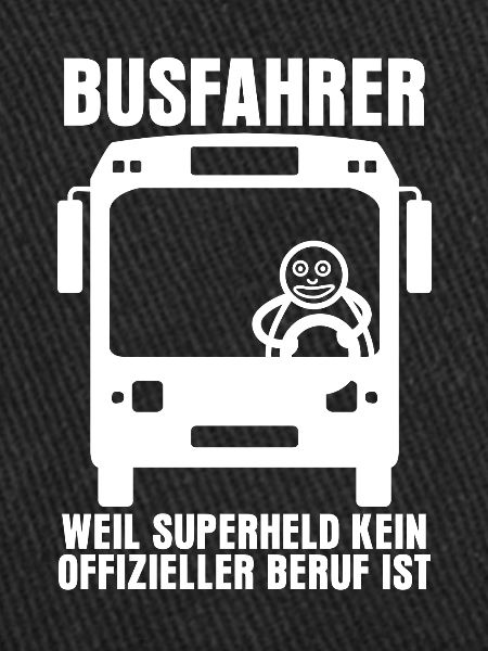 Busfahrer Busfahrerin Linienbus