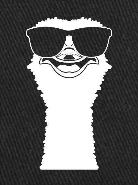 Ostrich with sunglasses