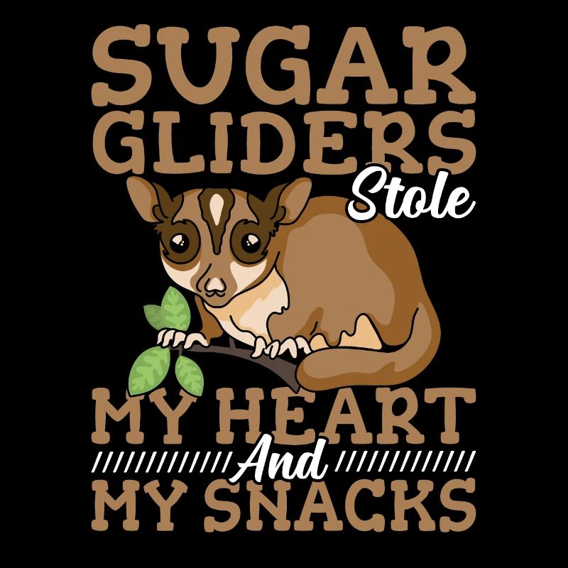 Sugar Gliders Stole Heart Sugar Glider Owner