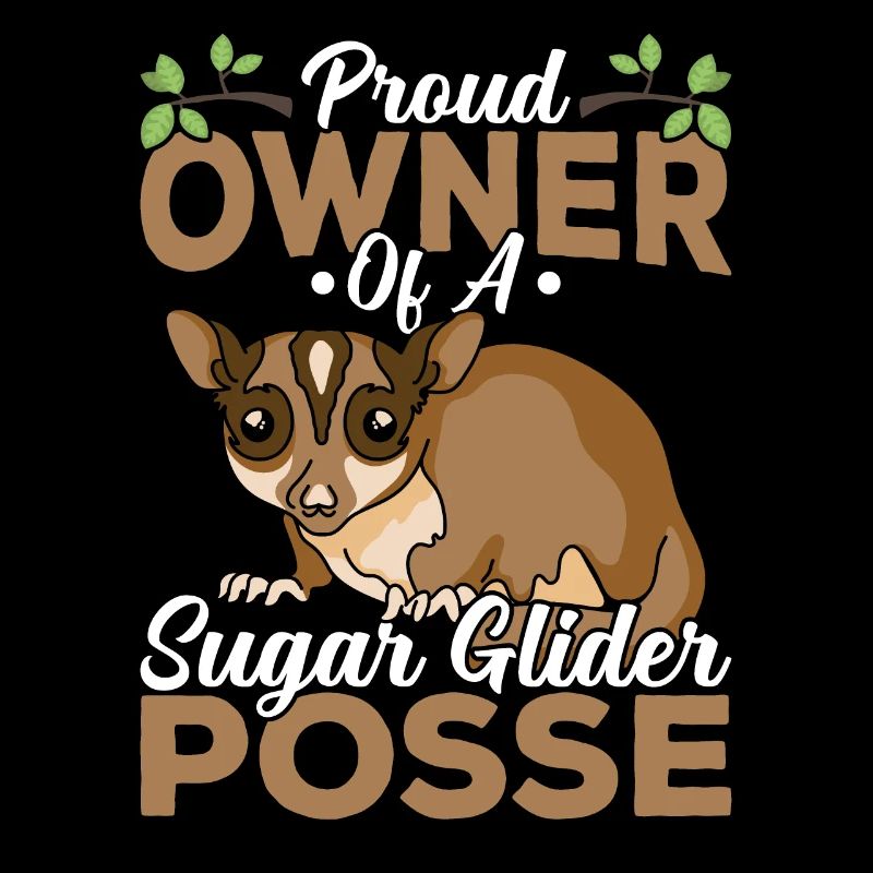 Fier propriétaire de Sugar Glider, propriétaire de