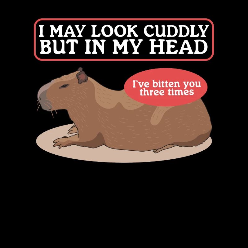 Capybara Capybara Capybaras Cadeau