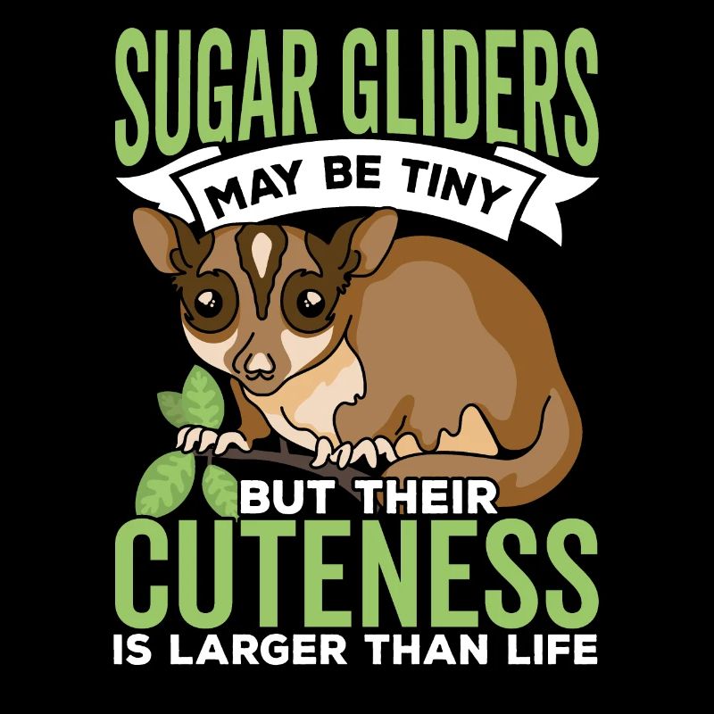 Sugar Gliders Cute Sugar Glider Owner