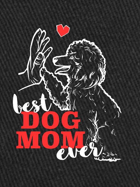 Meilleur caniche Mama Poodle chien