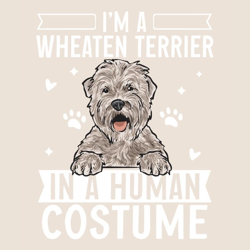 Terrier irlandais à enrobage doux