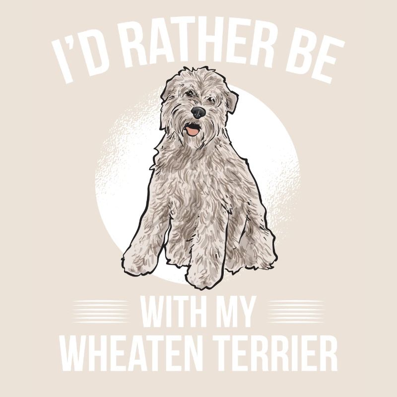 Terrier irlandais à enrobage doux