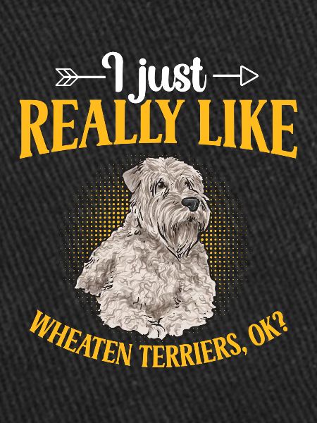 Terrier irlandais à enrobage doux