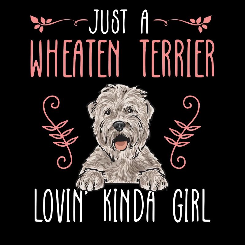 Terrier irlandais à enrobage doux