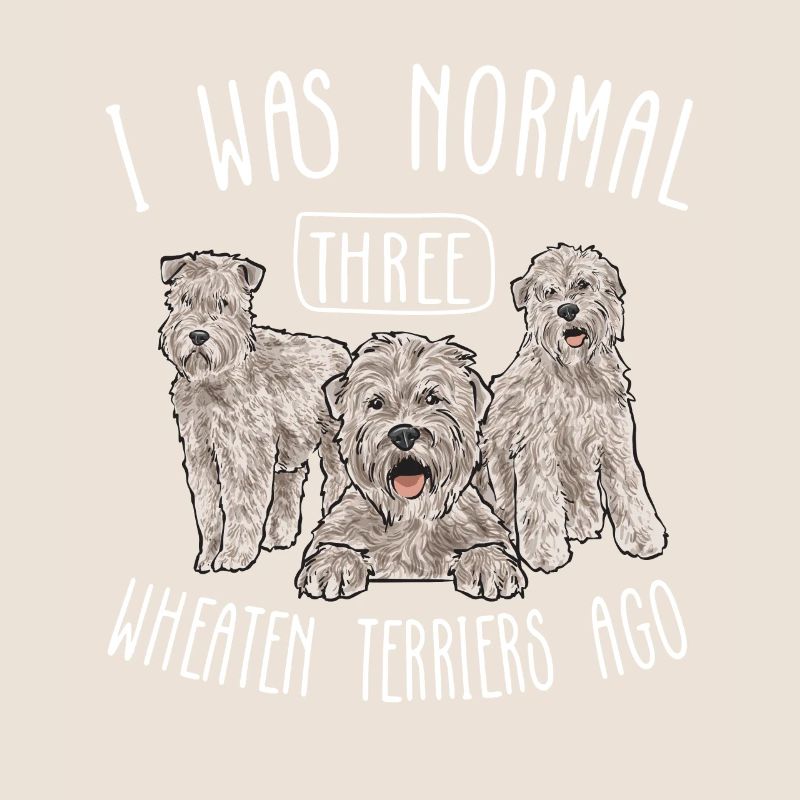Irish Soft Coated Wheaten Terrier