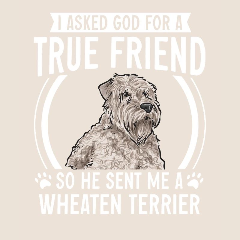 Terrier irlandais à enrobage doux