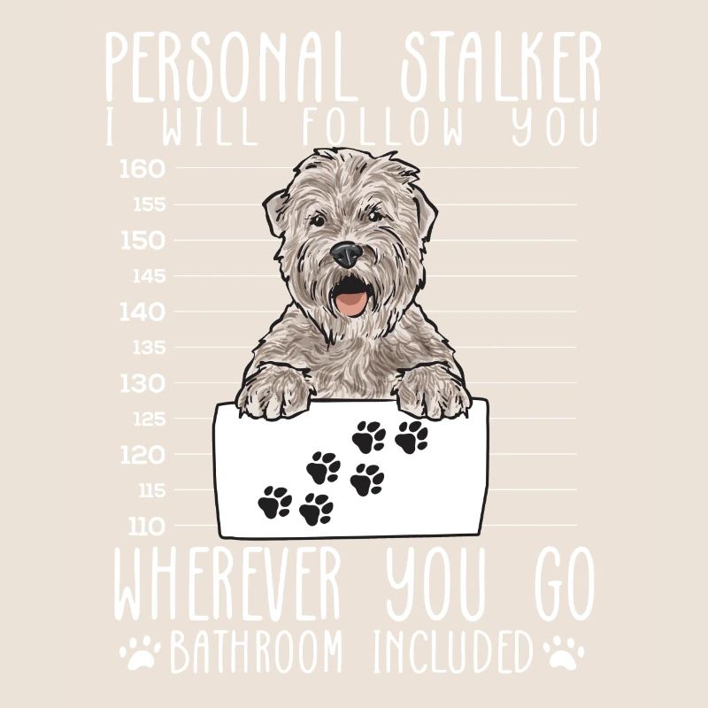 Irish Soft Coated Wheaten Terrier