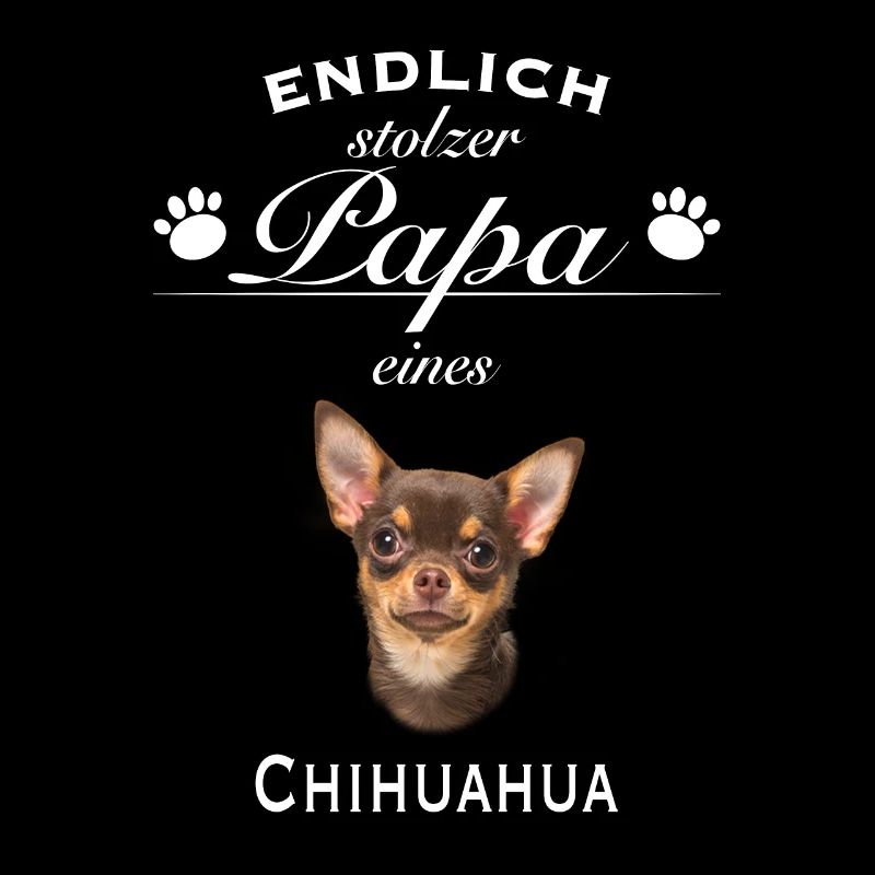 Endlich stolzer Papa - Chihuahua