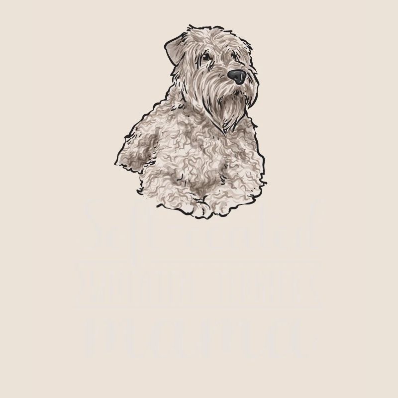 Terrier irlandais à enrobage doux