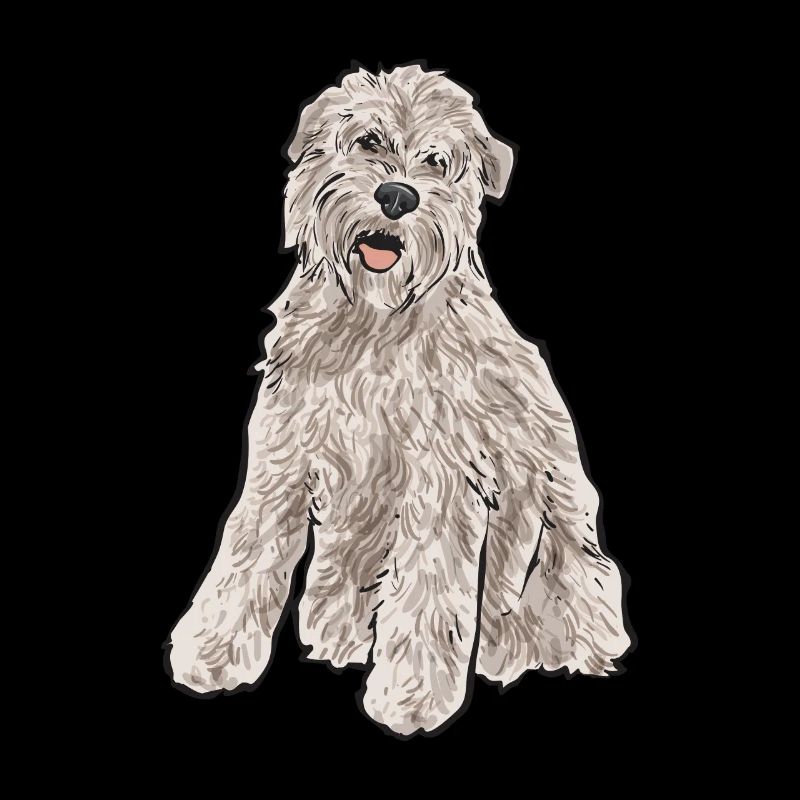 Terrier irlandais à enrobage doux