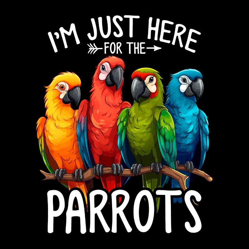 Perroquet Amant Quaker Perroquet Moine Perruche Oiseaux
