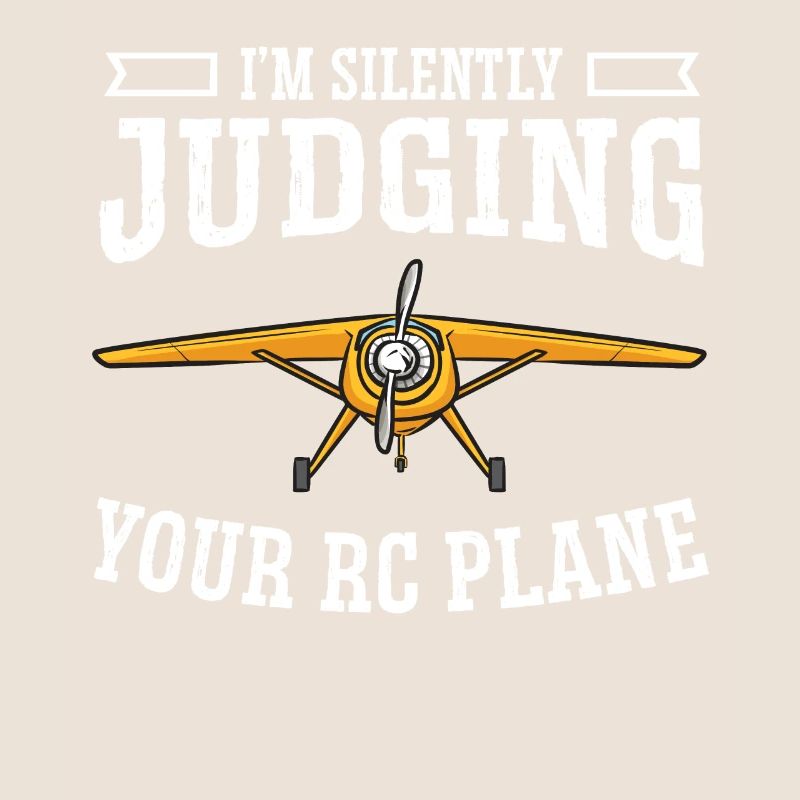 Remote Controlled Airplane Model Airplane