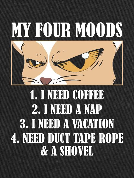 Cat Humor