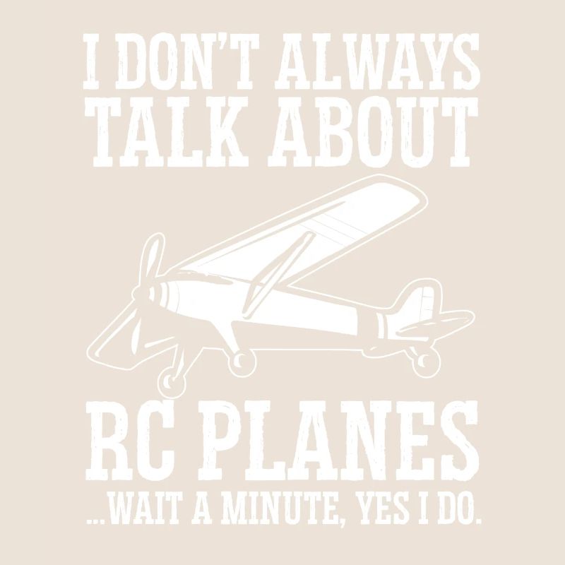 Modèle d’avion télécommandé