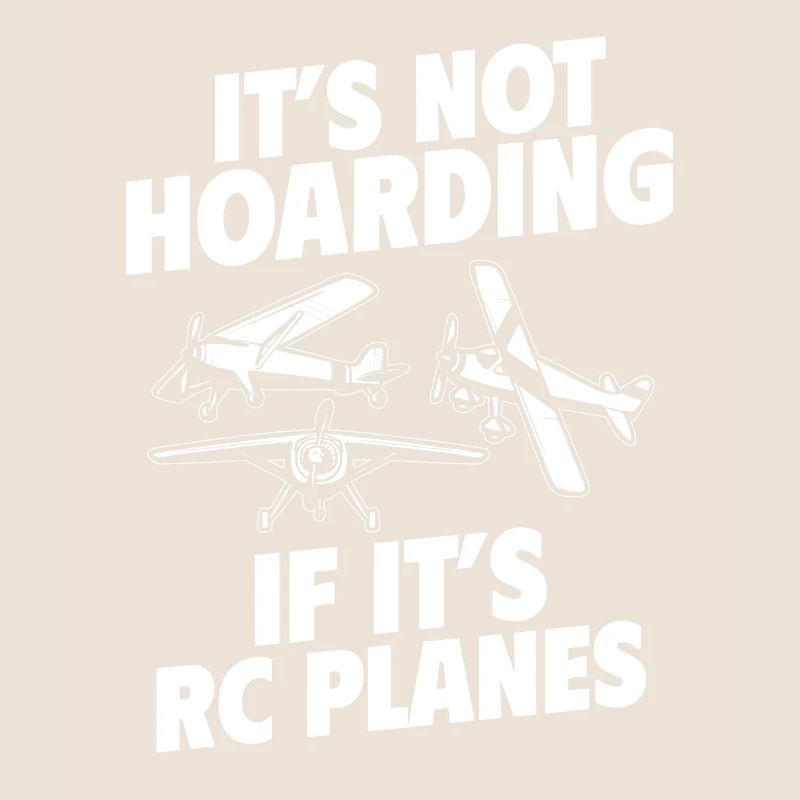 Remote Controlled Airplane Model Airplane