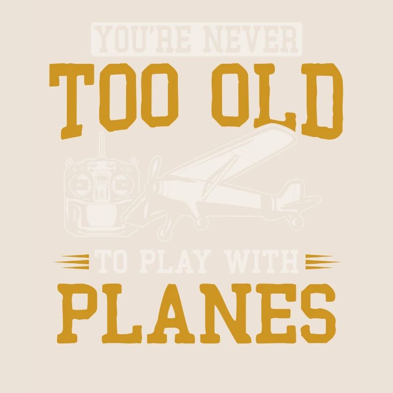 Modèle d’avion télécommandé