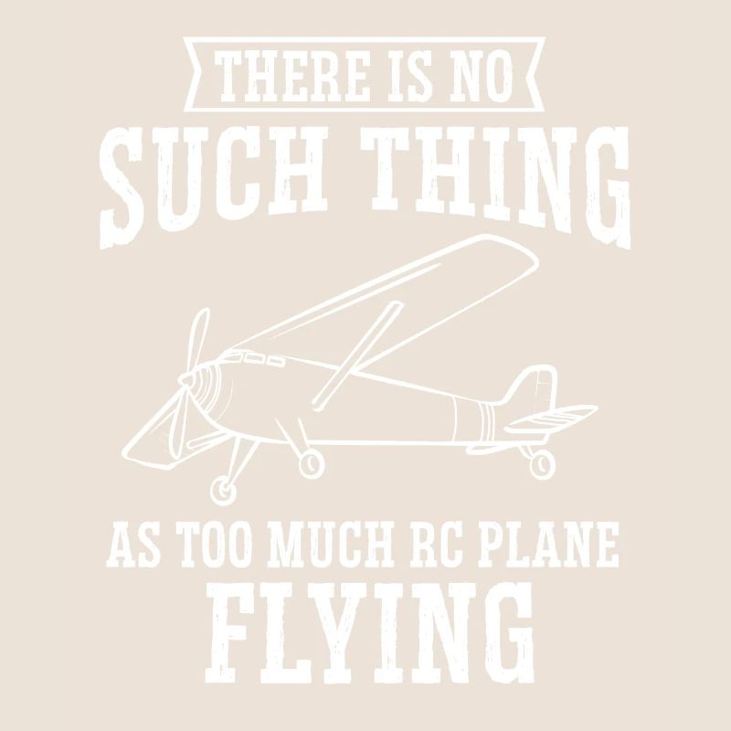 Modèle d’avion télécommandé