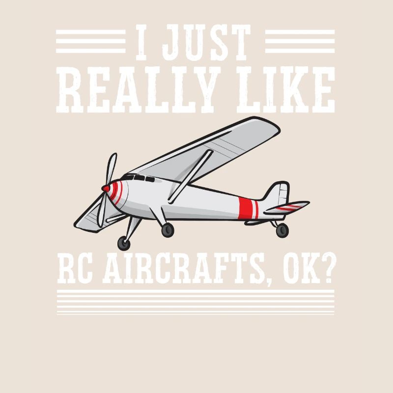 Modèle d’avion télécommandé