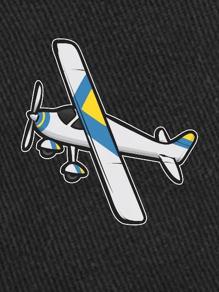 Modèle d’avion télécommandé