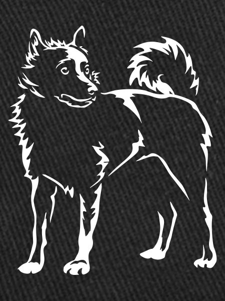 Schipperke "Black Edition"