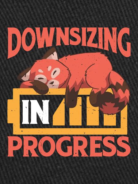 Downsizing In Progress 24
