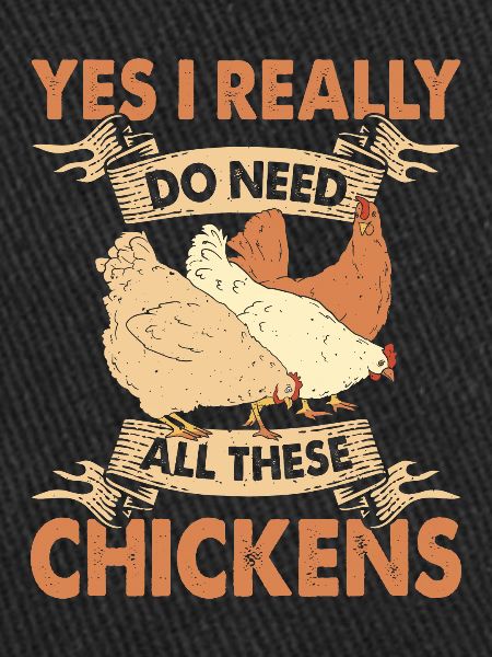Poulets Élevage de poulets