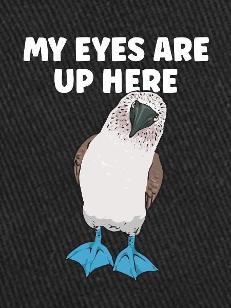 Blue-footed Booby Seabird