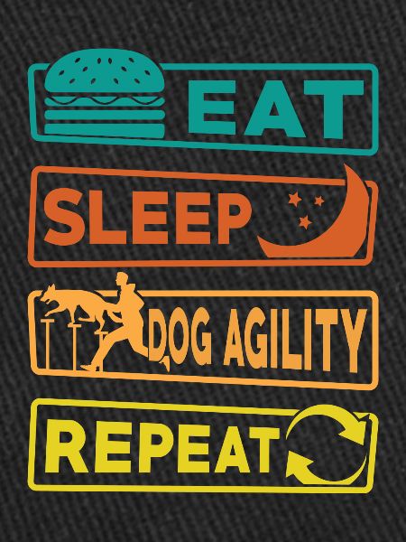 Manger Sommeil Chien Agilité Répéter