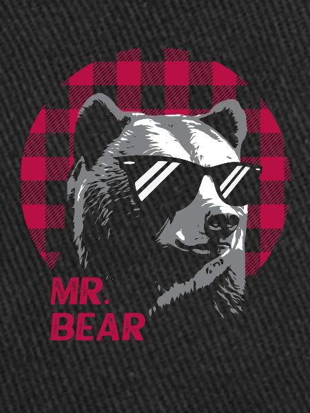 Mr. Bear