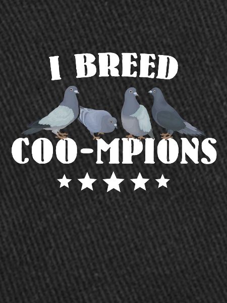 Colombophiles Élevage de pigeons