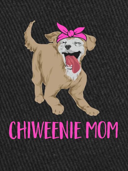Chiweenie Chien