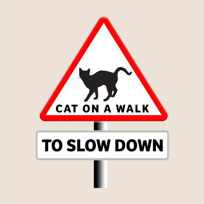 Meditative Cat Slow Down with our Chat Baladé