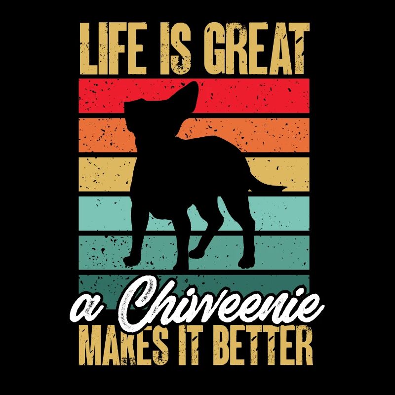 Chiweenie Dog