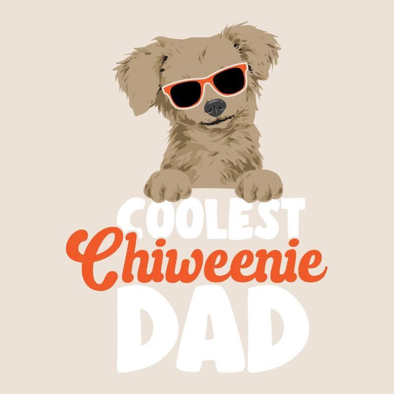 Chiweenie Dog
